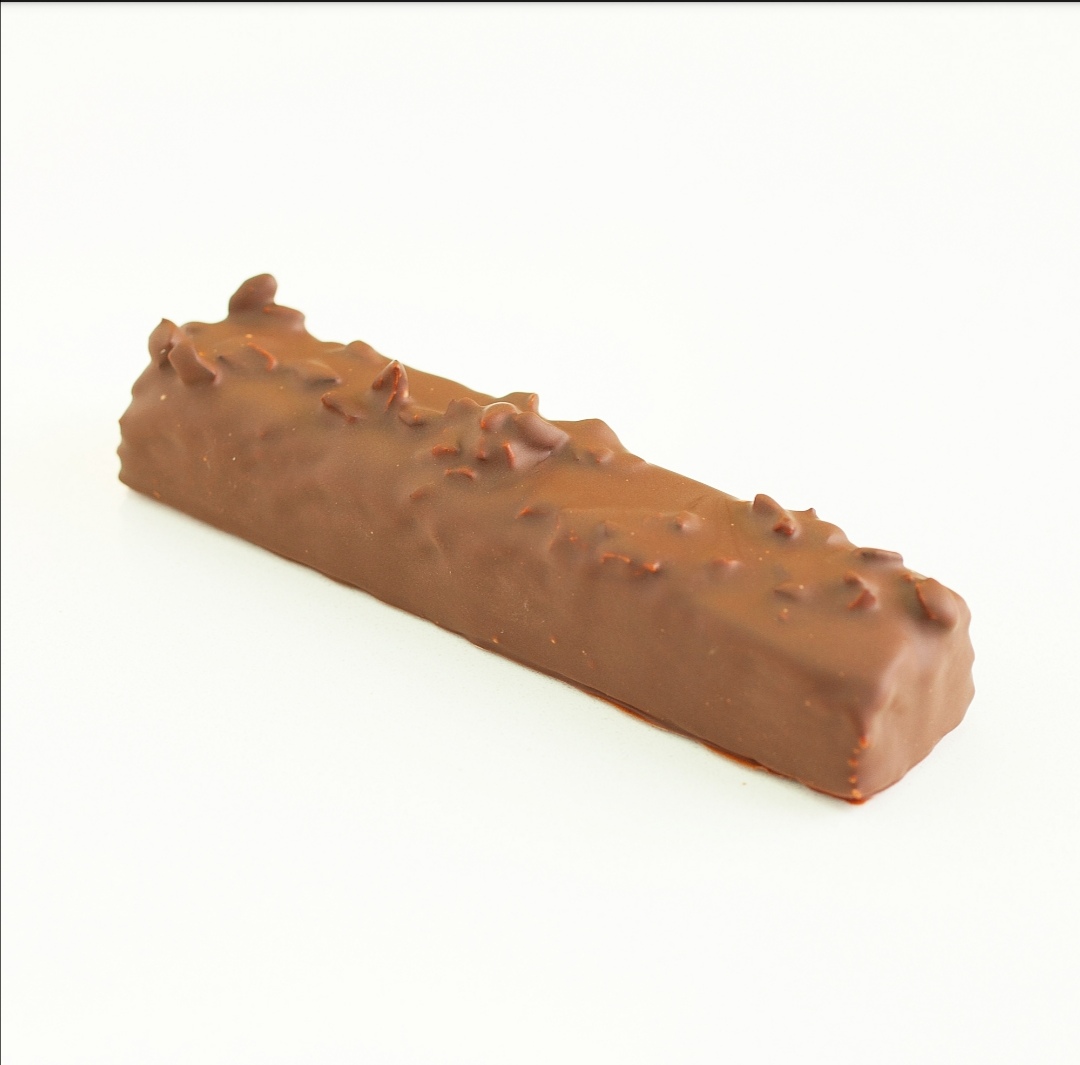 chocolate-lab-chew-the-chocolate-lab