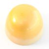 21_custard 21_custard