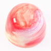 21_rhubarb2 21_rhubarb2